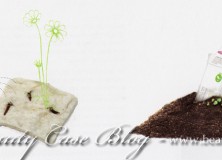 O’Right – Nuovo brand ecobio per la cura dei capelli