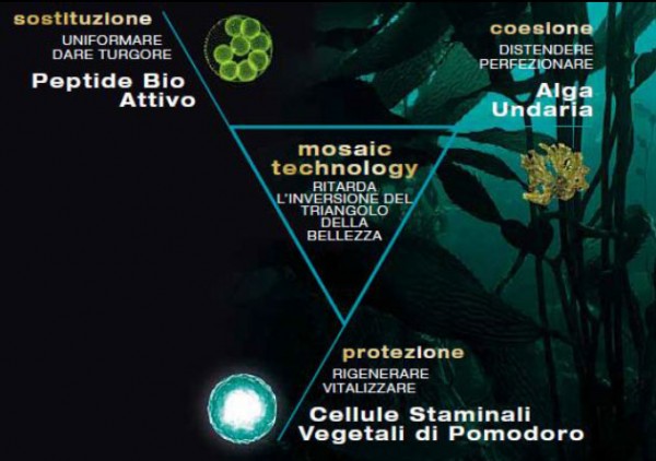 Bioline Jatò Age Beauty Secret - Principi Attivi