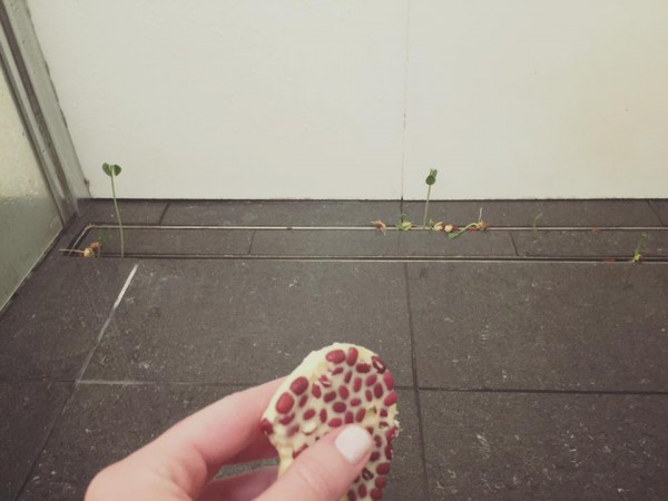 I should probably stop using seeded soap in the shower - Imgur