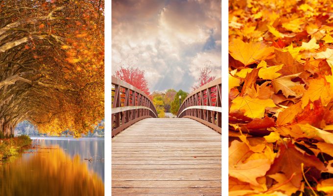 Sfondi per cellulare autunno gratis